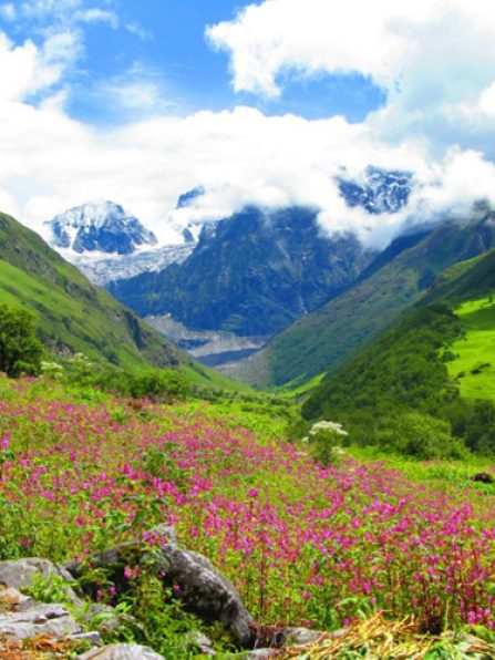 valley-of-flowers-national-park